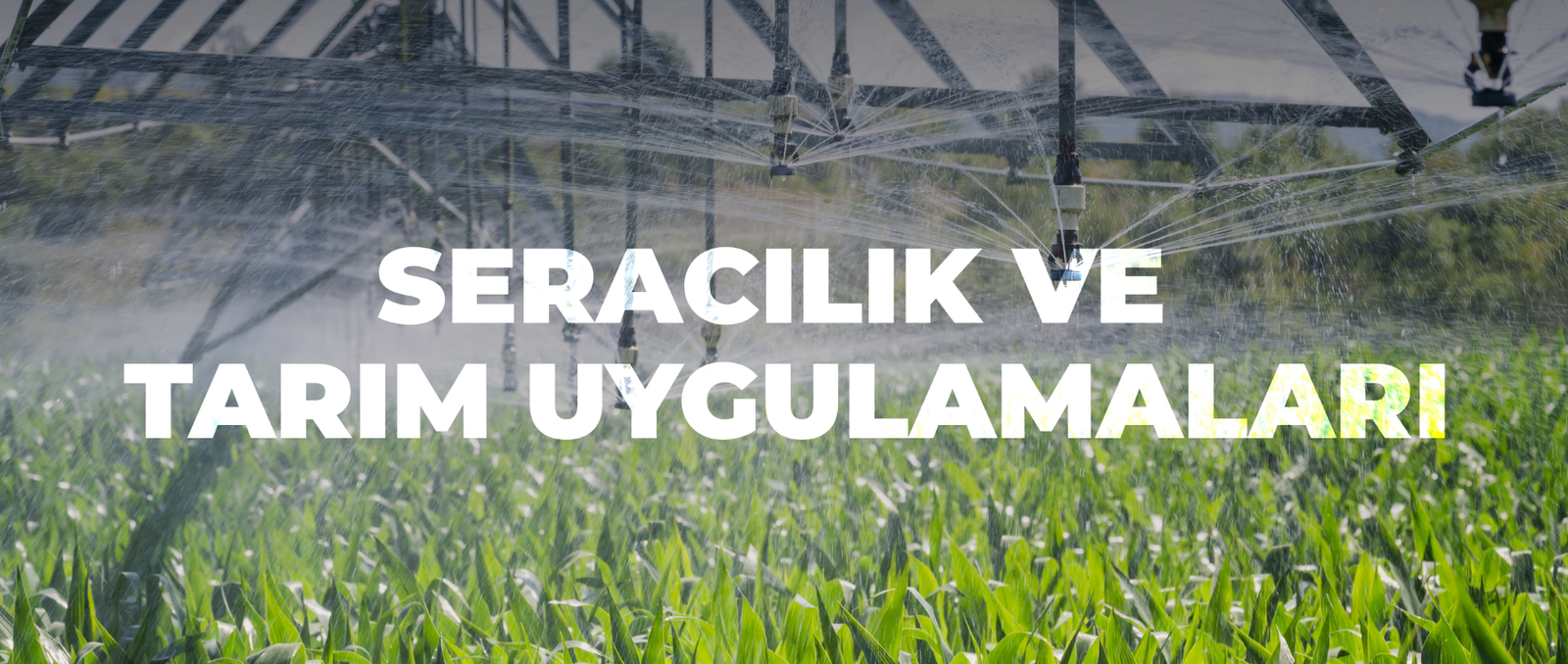 Seracılık ve Tarım Uygulamaları Arka Plan